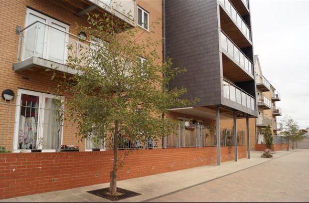 Vetrelax Chelmsford Apartment Buitenkant foto