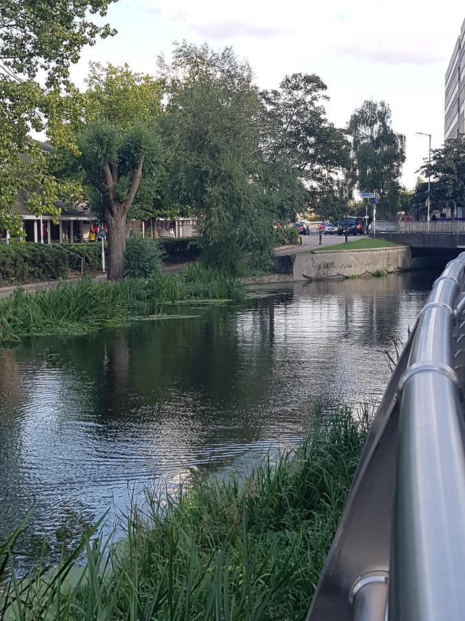 Vetrelax Chelmsford Apartment Buitenkant foto